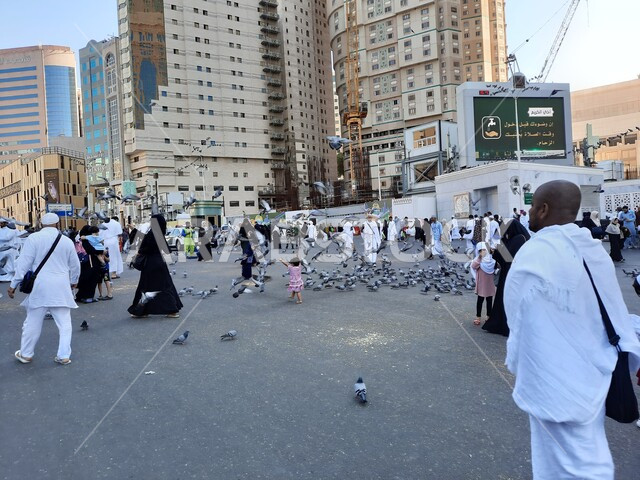 حجاج بيت الله الحرام في الفناء الخارجي للحرم المكي في مكة المكرمة بالمملكة العربية السعودية، الابراج والفنادق المطلة على الحرم المكي، حجاج بيت الله يطعمون الحمام، معالم اسلامية، السياحة الدينية في السعودية