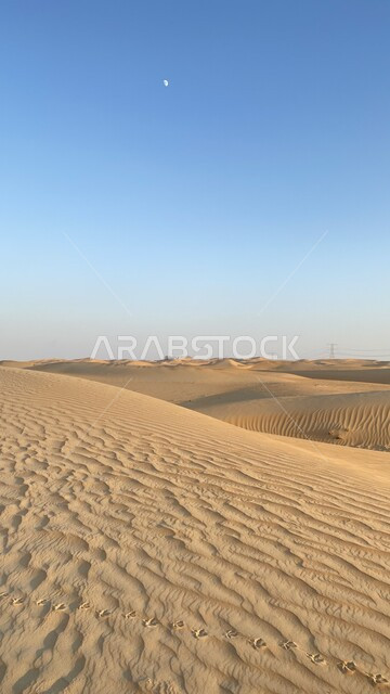 الكثبان الرملية ، الرمال الناعمة ، التلال الرملية ، المناطق الصحراوية ، الطبيعة الصحراوية ، التضاريس الصحراوية ، البيئة الصحراوية