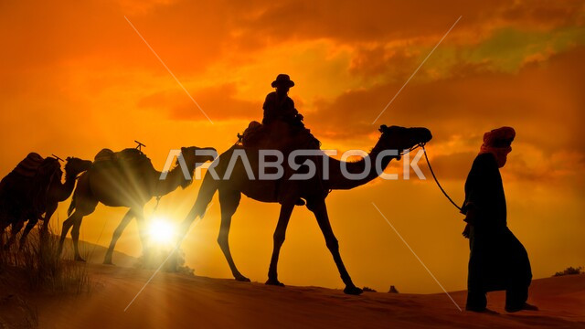 صوره ظليه لراعي مع مجموعة من الإبل ، قافلة من الجمال في محمية برية ، قطيع من الجمال في الصحراء, منظر رائع لغروب الشمس في الصحراء