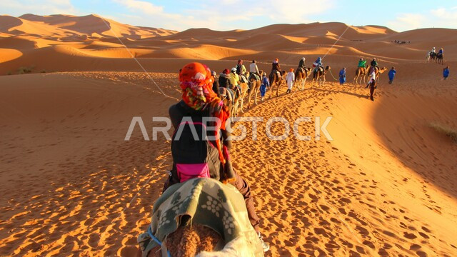 قافله من الجمال في الصحراء, جولات سياحيه, مجموعه من الزوار السائحين, السياحه الصحراويه, الرمال الناعمه, الكثبان الرمليه الذهبيه, تربية الجمال في المملكة العربية السعودية ،قطيع من الجمال في وقت النهار, هواية ركوب الجمال  