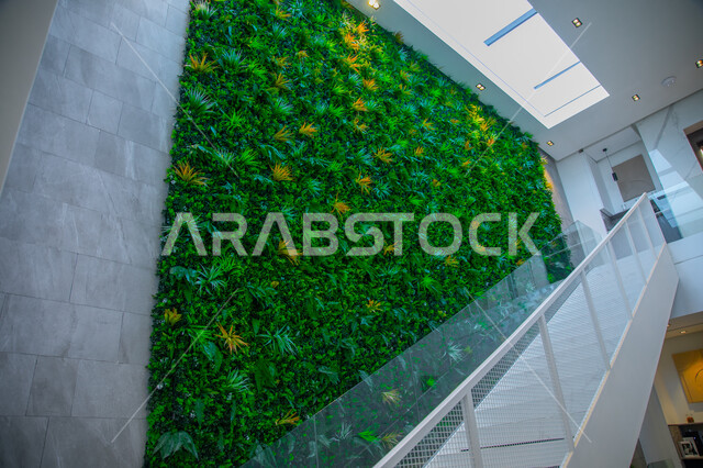 Stairs of a house with a modern design and decor of trees and plants, elegant modern designs and decors, modern residential apartments