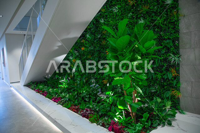 اشجار داخل منزل بتصميم جذاب وديكور عصري ، تصاميم وديكورات عصرية ، شقق سكنية عصرية ، أشجار ومزروعات الزينة