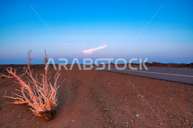 طريق اسفلتي وسط الصحراء، الحجارة والصخور، خط سير سريع، مناظر طبيعية خلابة