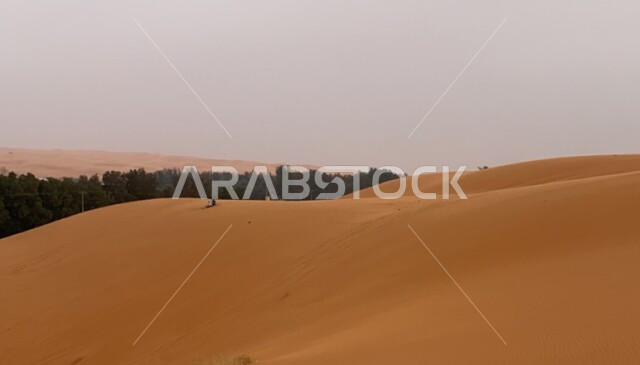 A hill of sand behind palm plantations, sand dunes, soft sand, desert nature, scenic beauty, desert terrain