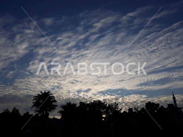 Silhouettes of trees and plants, beauty of the blue sky, white clouds, landscape, cloudy sky, nature background