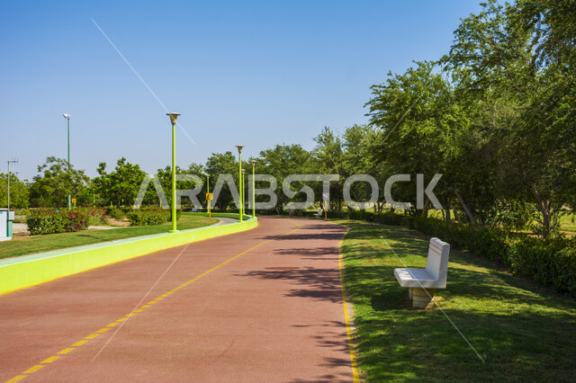 ممر المشاة في حديقة ينبع السياحية بالمملكة العربية السعودية ، الأشجار والطبيعة الخضراء ، أماكن سياحية في السعودية ، حدائق ونزهات ترفيهية بالسعودية