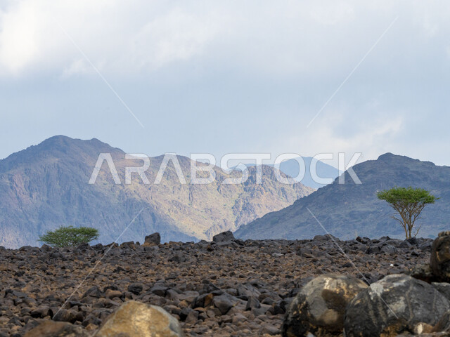 الجبال والمرتفعات الرملية في المملكة العربية السعودية، مناظر طبيعية، الطبيعة الجبلية في السعودية، خلفية جبال،نباتات صحراوية، خلفية طبيعة