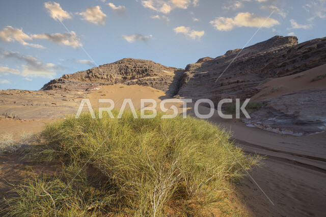 Natural limestone formations landscape, desert nature, topography of rocks and mountains, nature background, desert
