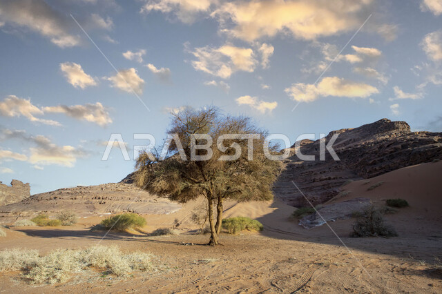 منظر طبيعي لتشكيلات الحجر الجيري الطبيعي , الطبيعة الصحراوية ، تضاريس صخور و جبال ، خلفية طبيعة  ، صحراء