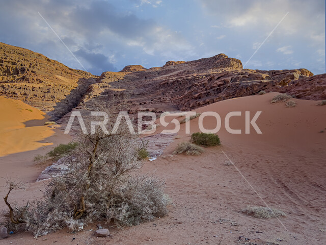 Natural limestone formations landscape, desert nature, topography of rocks and mountains, nature background, desert
