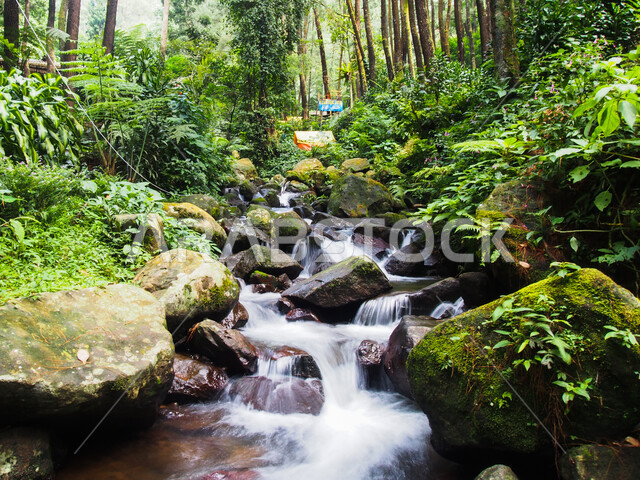 Rocky river flow landscape in the morning, mountains and highlands, mountain gorge, aquatic nature, river flow, green nature background