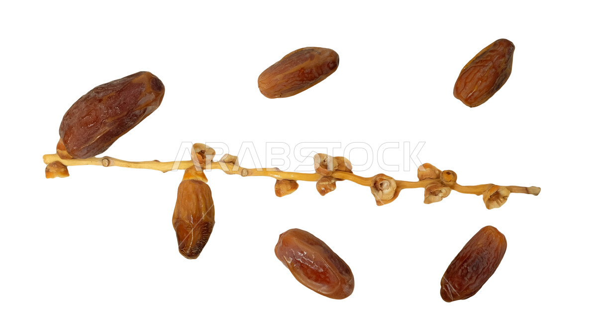 Scattered dates, palm fruit, Ramadan hospitality, dry dates, date