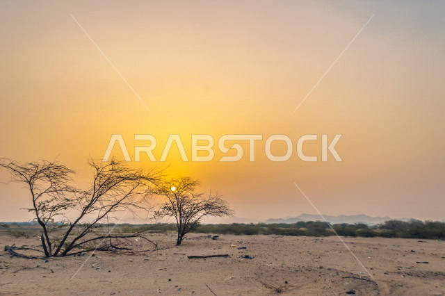 شروق الشمس وغروبها في الوادي الأخضر في جدة ، جمال الطبيعة السعودية