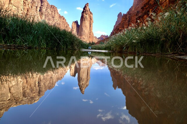 The canyons of the charming mountains, rock formations and oases in Wadi Al-Disah in the Tabuk region, Wadi Al-Disah (the valley full of palms), a river reflecting the rock formations, the picturesque nature of the Kingdom of Saudi Arabia