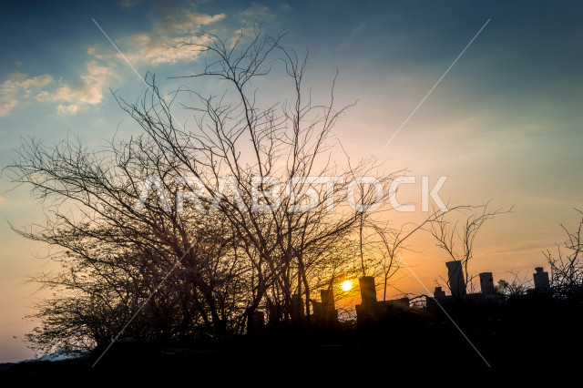 Sunrise and sunset in the Green Valley in Jeddah, the beauty of Saudi nature