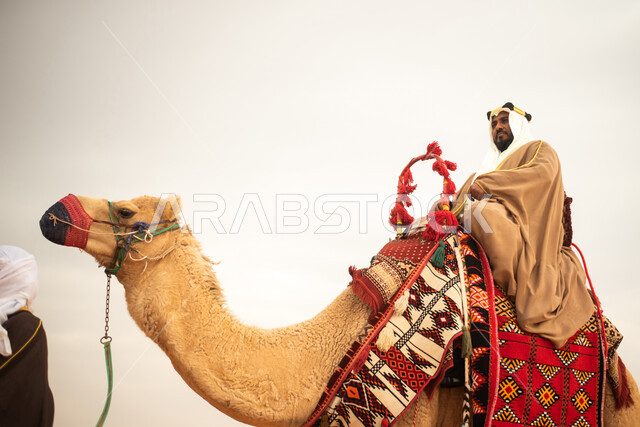 رجل عربي خليجي سعودي يمتطي الجمل في الصحراء السعودية، ارتداء ازياء شعبية تراثية، احياء ذكرى التاسيس السعودي، الدولة السعودية الاولى 1727م، يوم التاسيس السعودي، عيد وطني سعودي