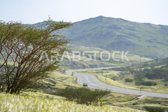 طريق مخصص للعبور بين الهضاب والجبال المكسوة بالنباتات الخضراء ، طريق البر ، محمية جبلية  الطبيعة الخلابة في النهار ، خلفية الطبيعة.