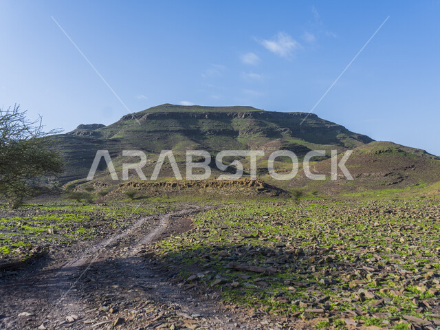 طريق مخصص للعبور بين الهضاب والجبال المكسوة بالنباتات الخضراء ، طريق البر ، محمية جبلية  الطبيعة الخلابة في النهار ، خلفية الطبيعة.