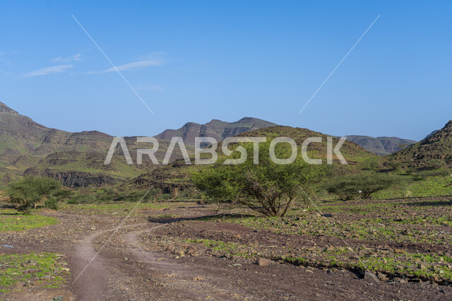 A road dedicated to crossing between plateaus and mountains covered with green plants, road righteousness, a beautiful mountain reserve in the day, the background of nature.