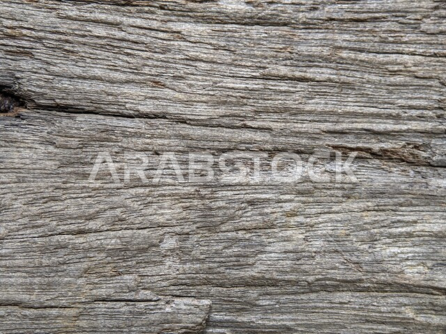 Brown wood texture, natural wood, tree trunk