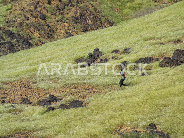 الاشجار والنباتات الخضراء في المناطق الزراعية بالمملكة العربية السعودية، الجبال والهضاب الخضراء ، جمال الطبيعة الخلابة ، خلفية الطبيعة