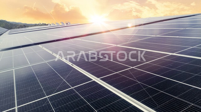 الألواح الشمسية الكهروضوئية , طاقة شمسية ، مفهوم إنتاج الطاقة المتجددة.