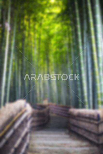Abstract blurred background of nature concept, abstract blurred background of nature, forests