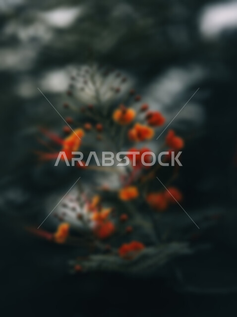 خلفية ضبابية مجردة لنباتات وزهور طبيعة ، زهور عطريه, خلفية مطموسه مجردة للطبيعة, خلفية الطبيعه