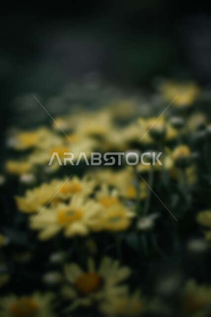 خلفية ضبابية مجردة لنباتات وزهور طبيعة ، زهور عطريه, خلفية مطموسه مجردة للطبيعة, خلفية الطبيعه