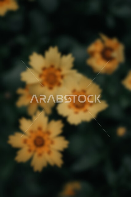 Abstract blurred background of nature plants and flowers, aromatic flowers, abstract blurred background of nature, nature background