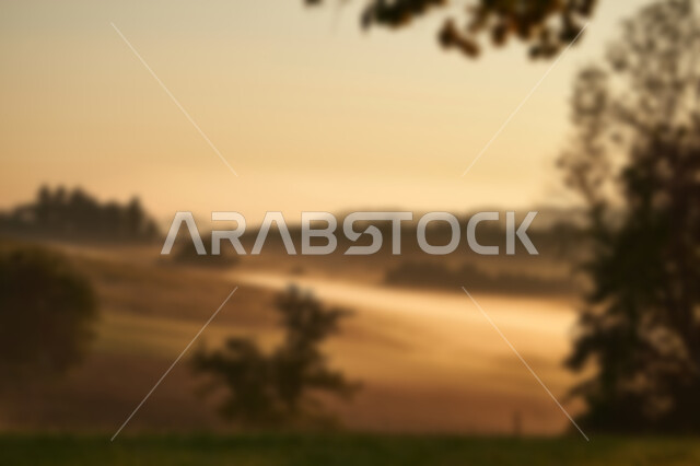 خلفية ضبابية مجردة لمفهوم البيئه الطبيعة , خلفية مطموسه مجردة للطبيعة, خلفية الطبيعه