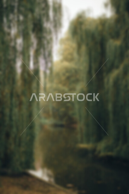 Abstract blurry background for nature environment concept, abstract blurred background for nature, nature background
