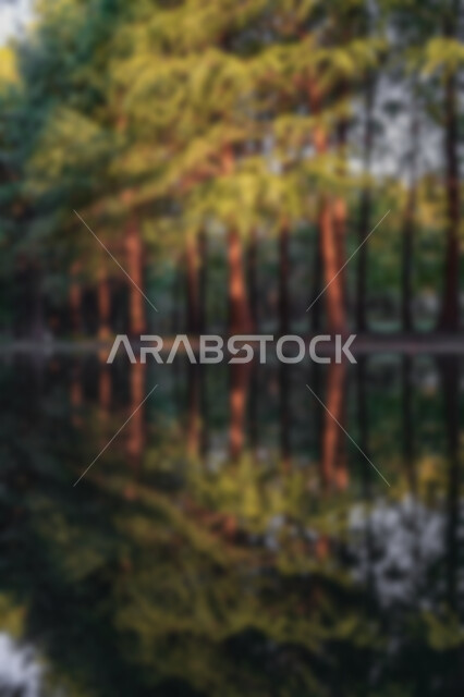 خلفية ضبابية مجردة لبحيره طبيعة , خلفية مطموسه مجردة للطبيعة, خلفية الطبيعه