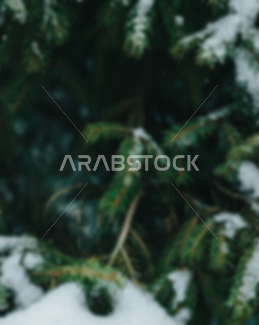 خلفية ضبابية مجردة لأغصان الأشجار الطبيعية , خلفية مطموسه مجردة للطبيعة, خلفية الطبيعه