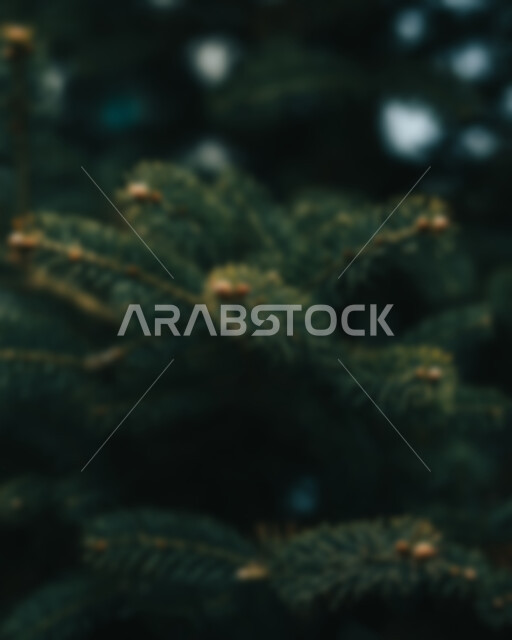 خلفية ضبابية مجردة لأغصان الأشجار الطبيعية , خلفية مطموسه مجردة للطبيعة, خلفية الطبيعه