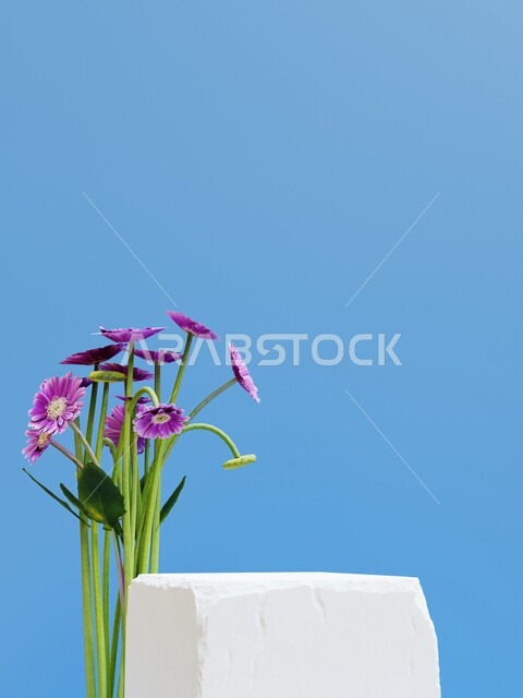 مجسم لتصوير المنتجات , ستاند مربع الشكل , زينة زهور صناعية , خلفية زرقاء .