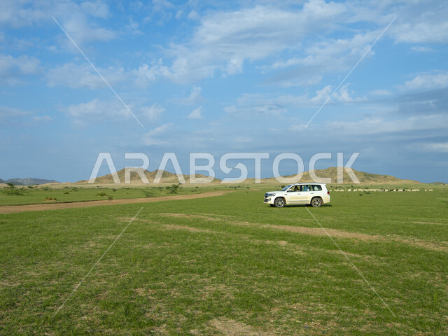 الطبيعه الجبليه الخضراء في مكه المكرمه بعد هطول الأمطار الغزيره, أراضي طبيعيه, جبال و مروج خضراء, خلفية الطبيعه