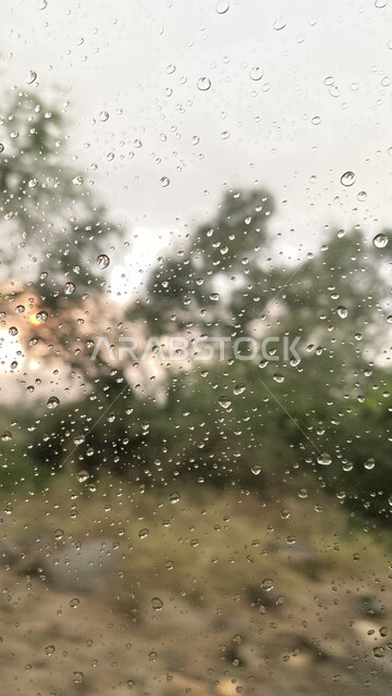 قطرات المطر على نافذة زجاج بخلفية ضبابية لأشجار خضراء وقت غروب الشمس، أجواء شتوية وأمطار.