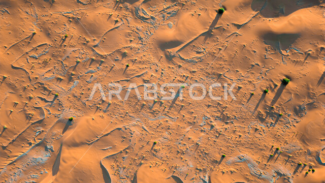 نفود روضة خريم شرق مدينة الرياض بالمملكة العربية السعودية ، التلال الرملية ، الكثبان الرملية ، البيئة الصحراوية ، صحاري السعودية ، الرمال الذهبية الناعمة