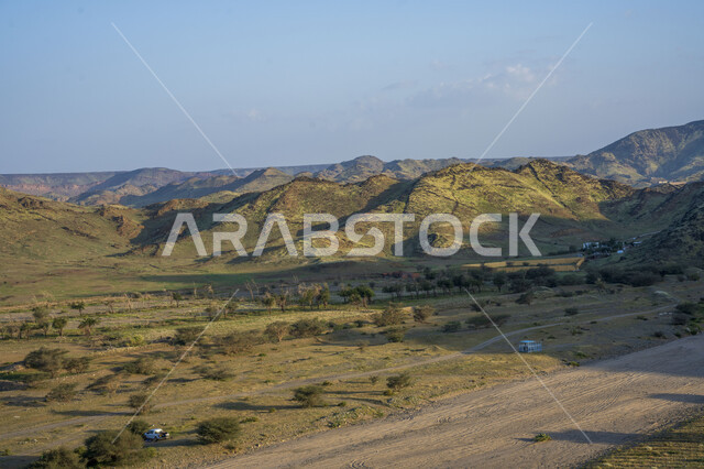 الجبال والمرتفعات في صحراء المملكة العربية السعودية، المناطق الصحراوية، الطبيعة الصحراوية، الاشجار والنباتات الخضراء، خلفية الطبيعة