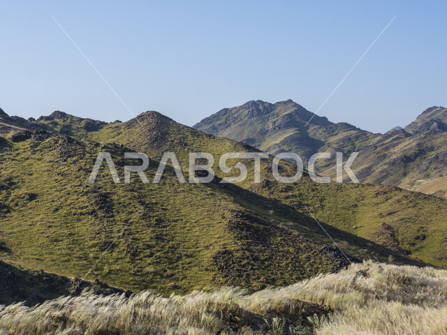 Natural green mountains, mountain heights, nature wallpaper, mountain nature