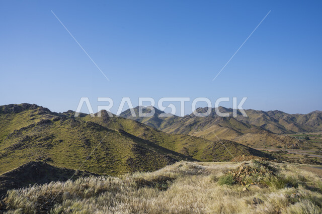 Natural green mountains, mountain heights, nature wallpaper, mountain nature