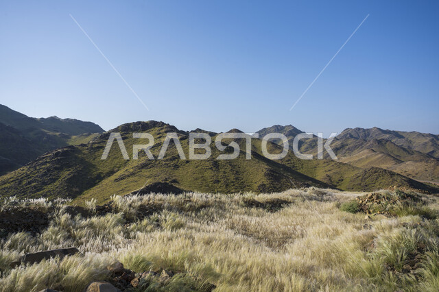 Natural green mountains, mountain heights, nature wallpaper, mountain nature