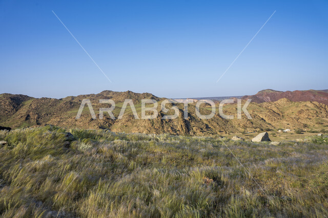 Natural green mountains, mountain heights, nature wallpaper, mountain nature