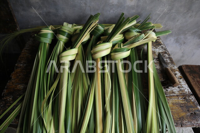 Knotted Coconut Leaves Young Coconut Leaves Use to Make Ketupates Food Stews Herbs Healthy Food and Recipes Coconut Fruit
