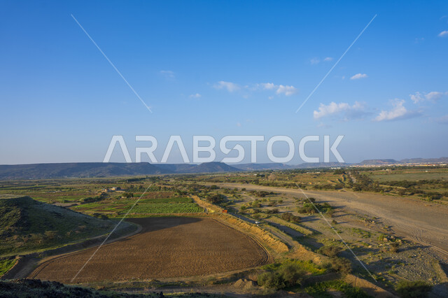 الحقول والأراضي الزراعية ، النباتات الخضراء ، الأشجار والمحاصيل الزراعية ، خلفية الطبيعة ، أودية