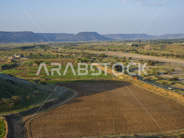 الحقول والأراضي الزراعية ، النباتات الخضراء ، الأشجار والمحاصيل الزراعية ، خلفية الطبيعة ، أودية