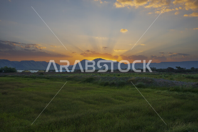 الحقول والأراضي الزراعية الخضراء ، النباتات الخضراء ، الأشجار والمحاصيل الزراعية ، خلفية الطبيعة ، أودية ، المروج الخضراء ، مزرعة حقول خضراء