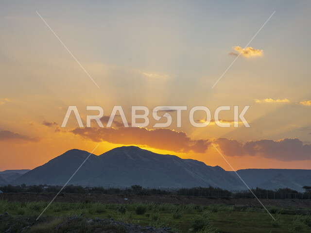 الحقول والأراضي الزراعية الخضراء ، النباتات الخضراء ، الأشجار والمحاصيل الزراعية ، خلفية الطبيعة ، أودية ، المروج الخضراء ، مزرعة حقول خضراء