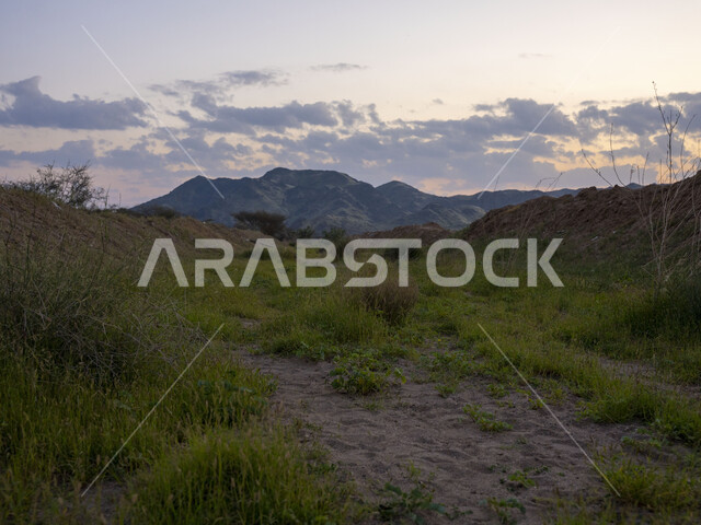 الحقول والأراضي الزراعية ، النباتات والأشجار الطبيعية الخضراء ، خلفية الطبيعة ، المرتفعات الجبلية